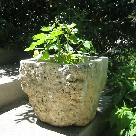 Green Apartamento